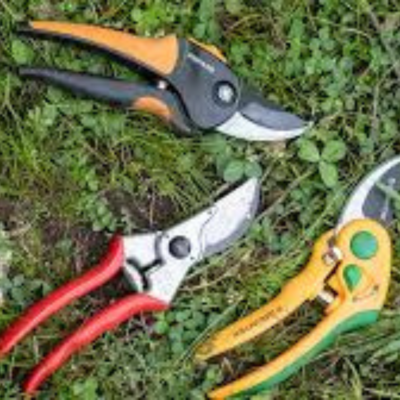 Professional Premium Titanium Bypass Pruning Shears